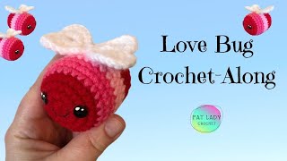 Love Bug Crochet Along [upl. by Champ407]