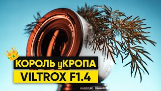 VILTROX 23MM F14 Кроп на дешевом БЗК [upl. by Adna]