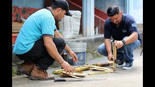 EXTRACCIÓN DE HORMONAS DE BAMBÚ Y CANAVALIA PARA ELABORAR BIOESTIMULANTES [upl. by Weeks760]