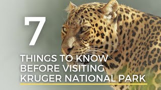 Kruger National Park  7 Things you need to Know before Visiting the Kruger National Park [upl. by Khichabia]