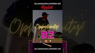 NCAA D2 OPPORTUNITIES FOR UNCOMMITTED BASEBALL PLAYERS – ALL POSITIONS 2025 baseballrecruiting [upl. by Elauqsap969]