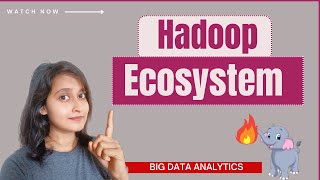 Hadoop Ecosystem  Big Data Analytics  Big Data Tutorial In Hindi [upl. by Aicrop]