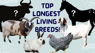 Discover the TOP 8 Longest Living Livestock Breeds [upl. by Elletnuahs]