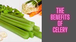 The BENEFITS of Eating CELERY Daily [upl. by Ahtelra]