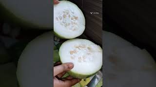 Ash gourd juice making pcodsubscribeyoutubeshorts [upl. by Yorker]