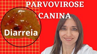 PARVOVIROSE CANINA Veterinária explica tudo [upl. by Yendroc211]