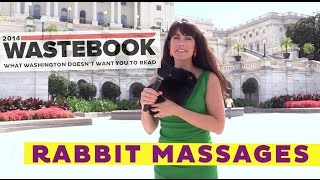 Wastebook 2014 Rabbit Massage [upl. by Ahsenre]