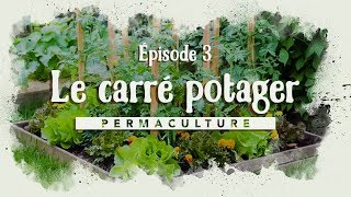 Le carré potager  EP3 Comment débuter les plantations dans son carré potager [upl. by Ailhat]