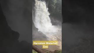 Bestest Harvalem waterfalls Goa😍🌦 goainmonsoon waterfallsingoa waterfall harvalemwaterfall😍🔥🔥 [upl. by Hedva]