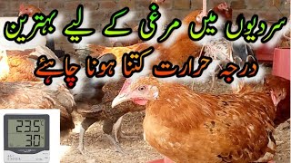 Ideal Temperature And Humidity For Chickens in Winter  Temperature kitna ho murgion k liya [upl. by Madoc]