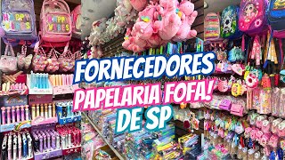 FORNECEDORES DE PAPELARIA EM SP Pari e 25 do Março [upl. by Milla952]