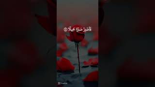 فاصبر صبرآ جميلًا 🎧🌿 [upl. by Enyehc194]