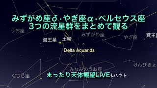 みずがめ座δ･やぎ座α･ペルセウス座 3つの流星群をまとめて観る まったり天体観望LIVE 2024729 [upl. by Ainerol]