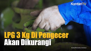 Distribusi LPG 3 Kg Di Pengecer Akan Dikurangi  Kontan News [upl. by Areit]