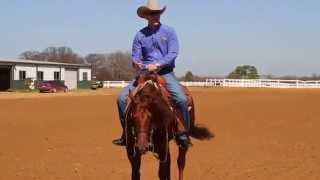 Reining Training  Misconception of a Low Head in Reining [upl. by Voltmer]