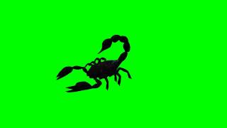 ongoing scorpion  quotfree Chroma Key Effectsquot [upl. by Karla]