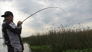 Bass Punching Basics Ft Mark Lassagne [upl. by Irual]