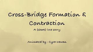 Crossbridge Formation Animation  Muscle Contraction Explained [upl. by Ainedrag]