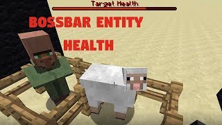 Entity Healthbar Tutorial 113 [upl. by Nolyak]