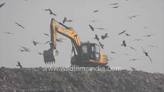 Traffic jam of dump trucks at Ghazipur landfill waiting to throw garbage [upl. by Hillary]