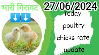 27062024 today broiler chicks rate all over Indiatoday broiler chicks pricepoultry chiken [upl. by Rushing]