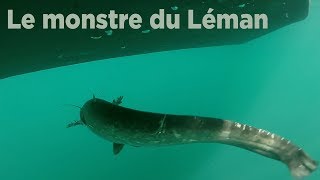 Le monstre du Léman [upl. by Rubbico]