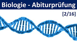 Biologie Abiturprüfung 2025  Tipps und Aufgabentypen 22  Abitur Biologie 216 [upl. by Grannia]