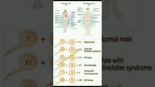 Chromosomal disorder neet biology genetics medicaleducation viralshort [upl. by Llednor]