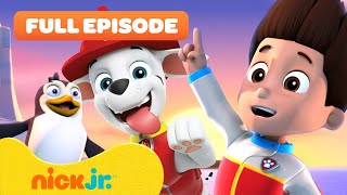 PAW Patrol Pups Get Geared Up w Alex Marshall Skye amp Chase  1 Hour Compilation  Nick Jr [upl. by Jaycee]