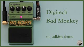 Digitech  Bad Monkey  No Talking Demo [upl. by Tnomel]