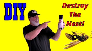 Why DIYers Must Carry Pro Wasp Killer [upl. by Eva76]