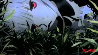 KAO Rozen Maiden 2013 Suigintou amp Megu AMV [upl. by Lokim]