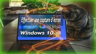 Comment faire rapidement une capture décran  Windows 10 [upl. by Smukler884]