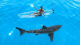 Exploring For Great White Sharks In Transparent Kayak [upl. by Berriman]