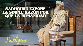 Orador Sadhguru  Sadhguru EXPONE la SIMPLE RAZÓN por qué la humanidad [upl. by Demmy]