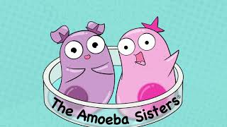 Amoeba Sisters Music [upl. by Bobker]