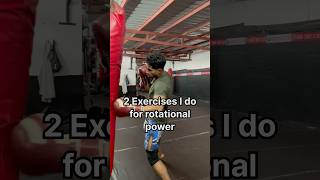 Two Exercises for Rotational Power boxing mma [upl. by Merp]