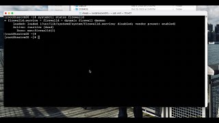 Redhat Linux Storage Server NFS [upl. by Perretta137]