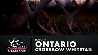 Ontario Crossbow Whitetail [upl. by Bottali320]