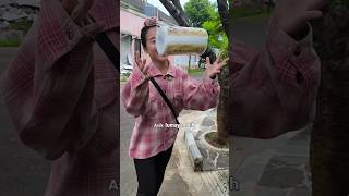 Bocil Tau Siapa Pelakunya  😱🐈 cicinyasar bocil kucing [upl. by Suzetta287]