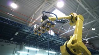 Elinta Fanuc Robot [upl. by Mor302]