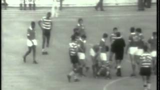 Benfica  3 x Sporting  1 de 19691970 Final da Taça de Portugal [upl. by Aniweta]