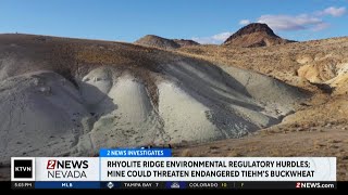 2 News Nevada Investigates Rhyolite Ridge Part Three [upl. by Aiclid268]