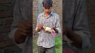 Wapas to aaja yaar 😢😭 youtubeshorts shortvideo viralvideo yaar 😥 [upl. by Llerroj]