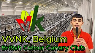 Europes Largest Bird Show VVNK Belgium [upl. by Oj]