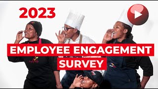 2023 Employee Engagement Survey [upl. by Euphemiah]