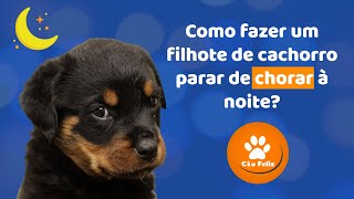 CACHORRO FILHOTE CHORANDO A NOITE COMO ACALMAR CÃO NOVO EM CASA FÁCIL cao filhote chora [upl. by Mildrid]