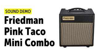 Friedman Pink Taco Mini Combo Sound Demo no talking [upl. by Ahsekyw]