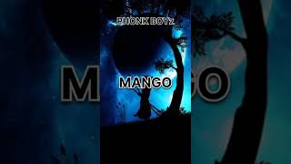 Mango Phonk like and subscribe ❤️ phonk [upl. by Brina335]