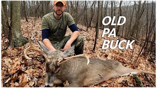 OLD PA BUCKSelf Filmed Rifle Hunt [upl. by Hesper516]